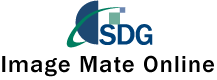 SDG Logo